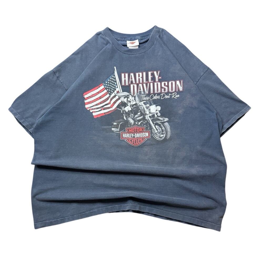 Vintage Harley Davidson Looney Tunes Biker T-Shirt Men's 2XL Virginia ( FLAWS )
